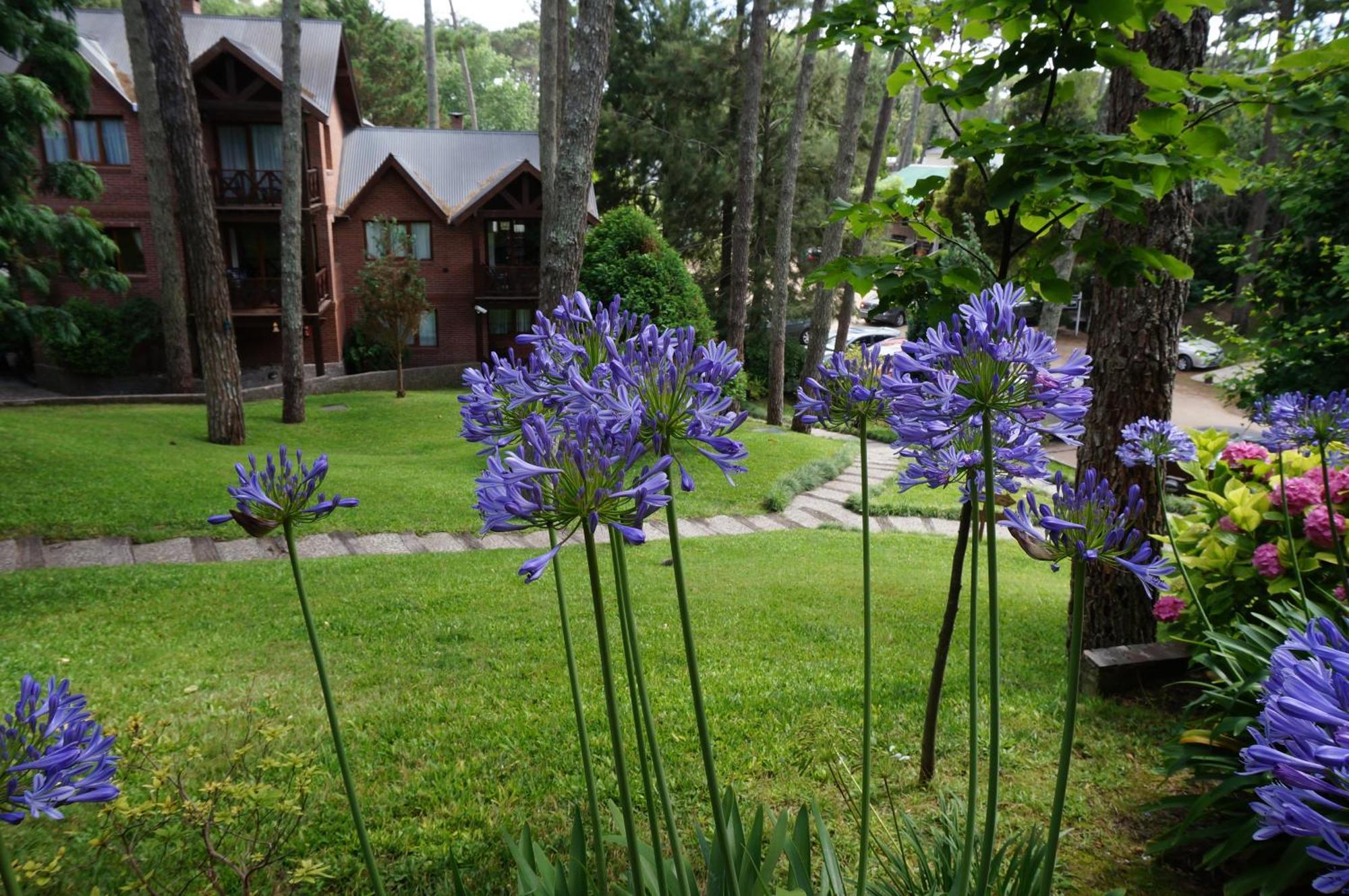Villa Refugio Del Bosque à Carilo Extérieur photo